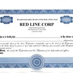 Incorpkit Precise_wording_blue